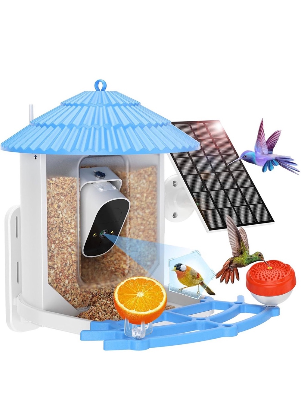 Bird Feeder with Camera Free AI Bird Recognition for life. Solar Powered Blue